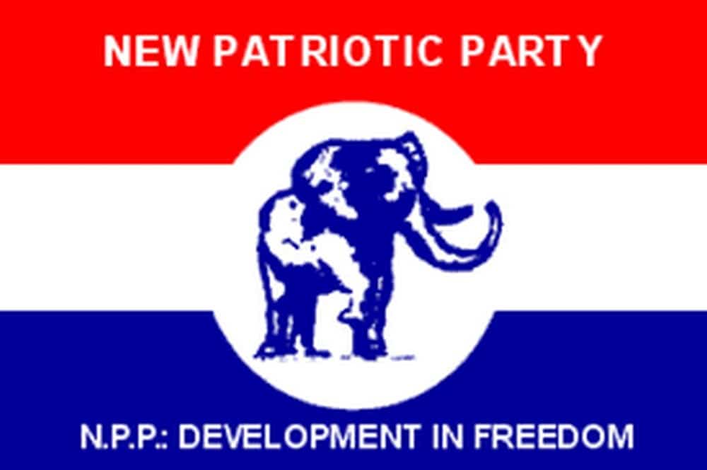 NPP POLLS Vetting ends in the eastern region,15 aspirants disqualified